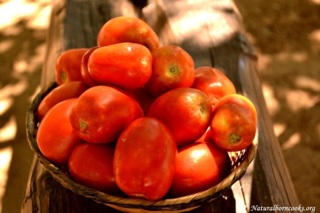 pomodori_orto_sicilia