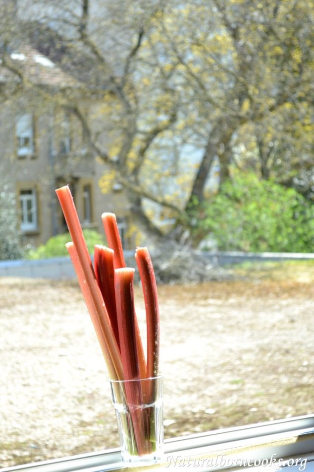 rhubarbe_verre