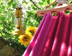 Amaca_quercia_girasoli