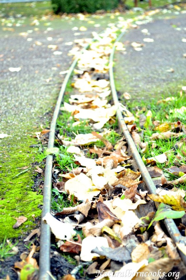 foglie_gialle_binario