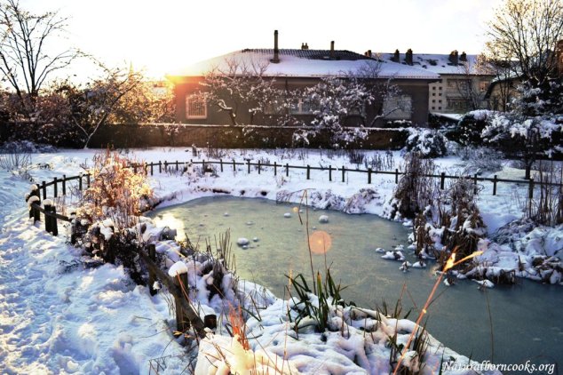 lago_ghiacciato_neve