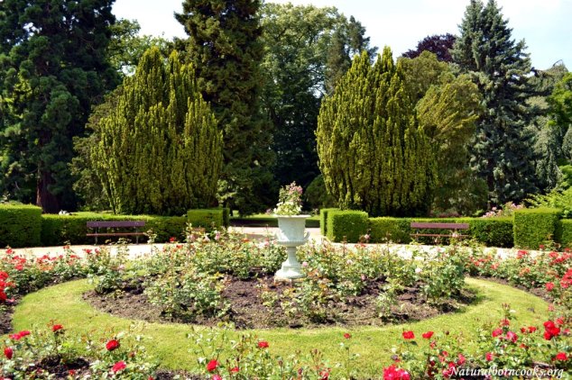 metz_rosier_giardin_botanique