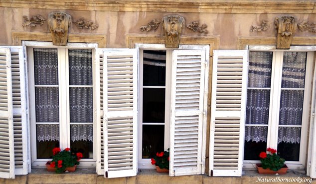 quartier_saint_croix_fenetres_fleurs