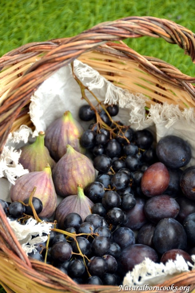 cesto_uva_fichi_prugne