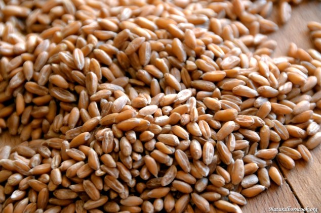 farro