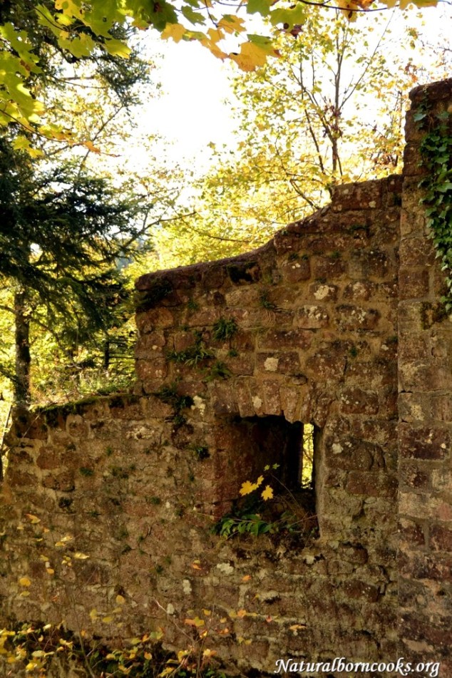 cascade_chateau_nideck