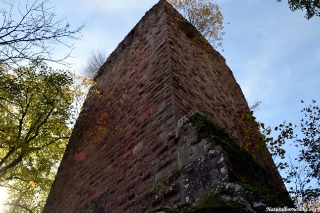 cascade_chateau_nideck