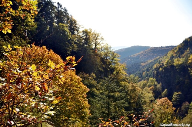 cascade_chateau_nideck