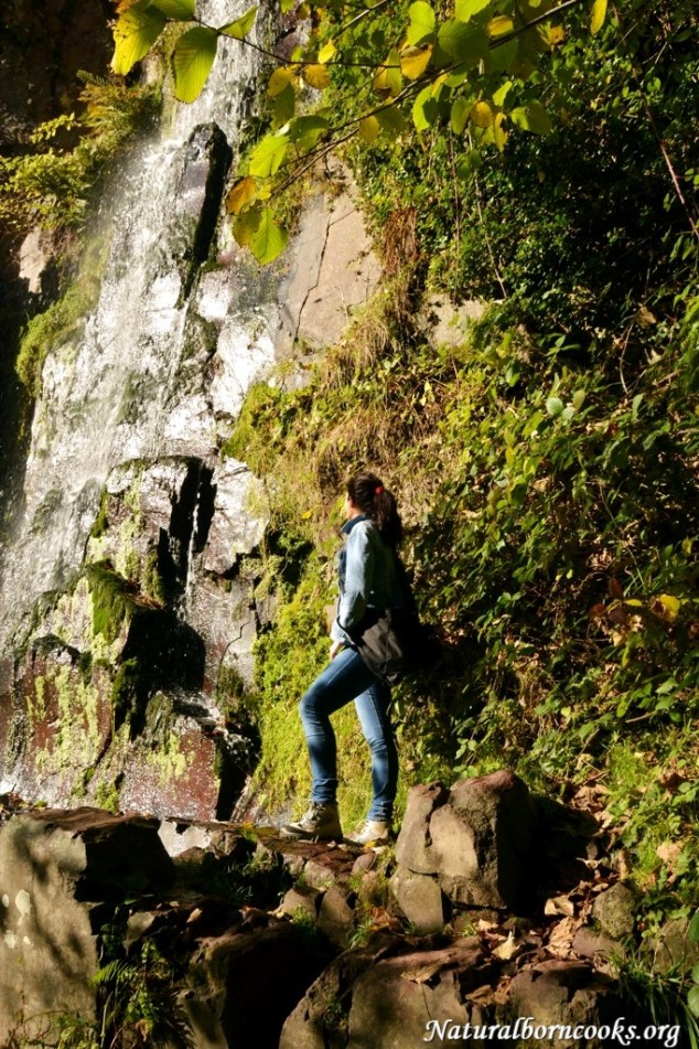 cascade_chateau_nideck