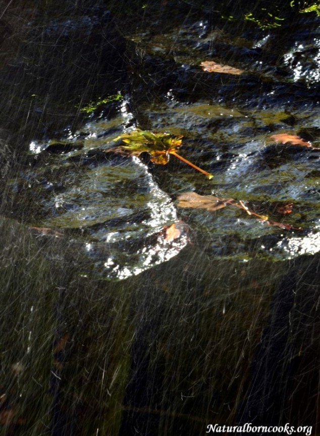 cascade_chateau_nideck_alsace