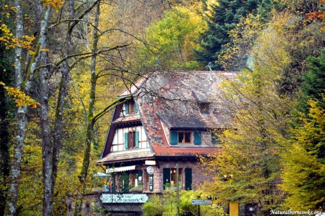 cascade_chateau_nideck