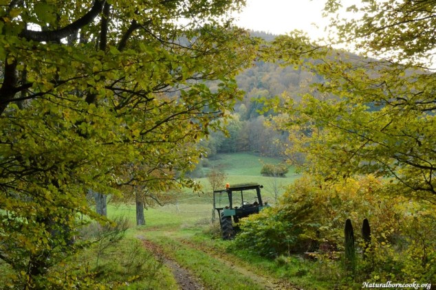 cascade_chateau_nideck