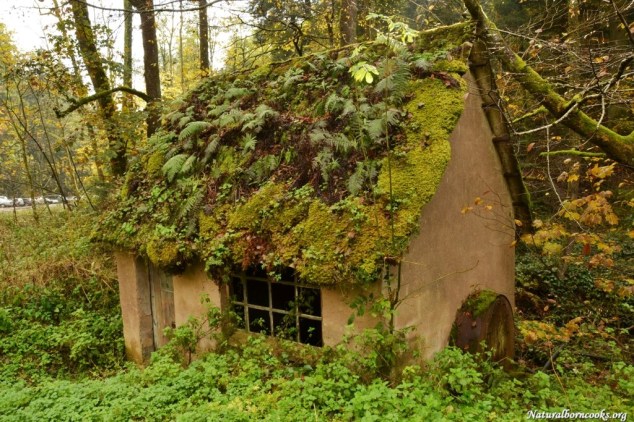 cascade_chateau_nideck