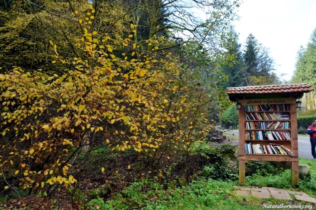 cascade_chateau_nideck_alsace