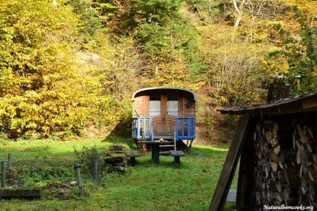 cascade_chateau_nideck_alsace