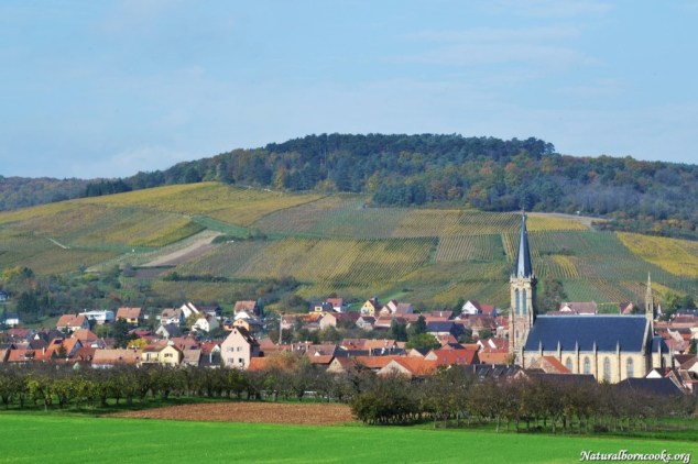 route_des_vins_alsace