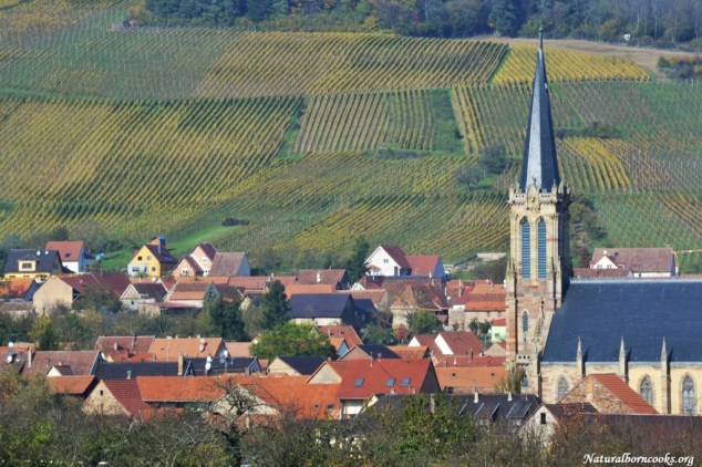 route_des_vins_alsace