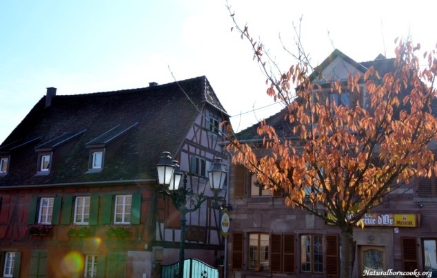 village_alsace_route_des_vins