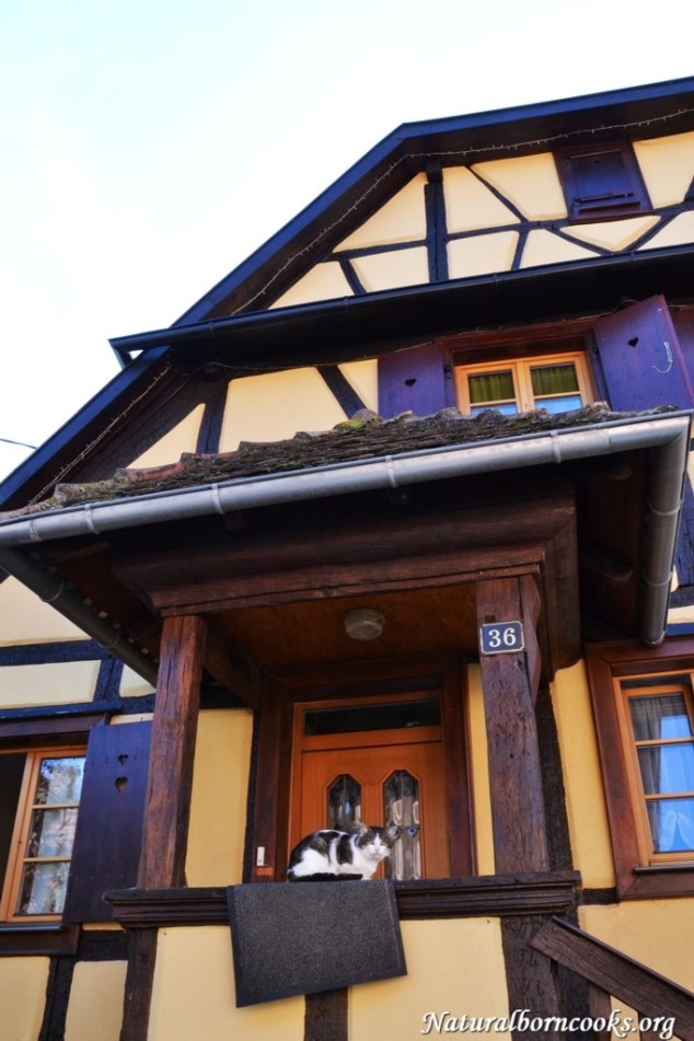 village_alsace_route_des_vins