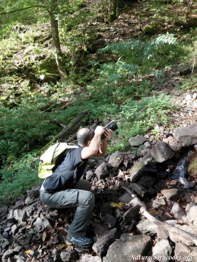 cascade_chateau_nideck_alsace
