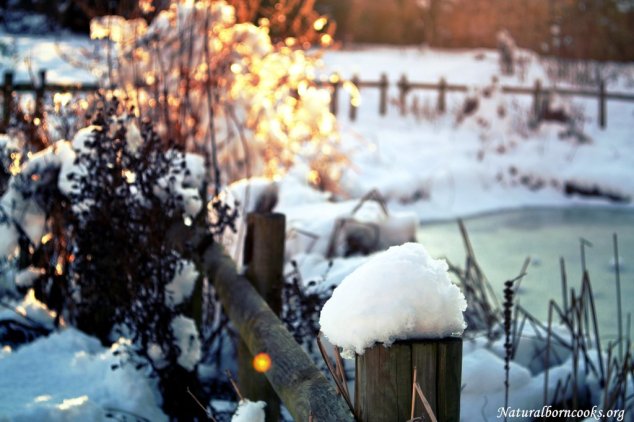 lago_ghiacciato_steccato