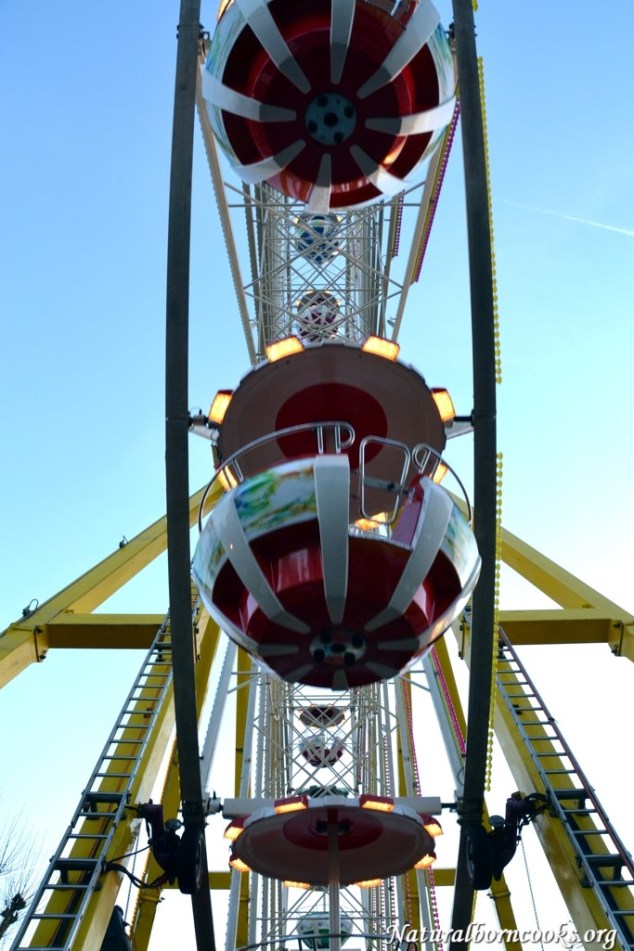 roue_panoramique