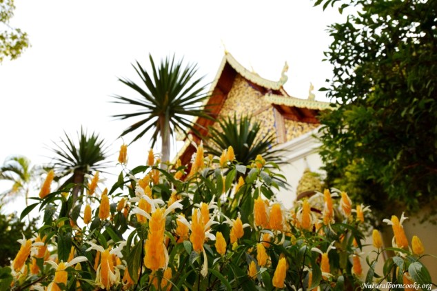 chiang_mai