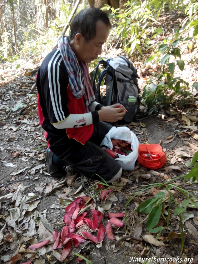 trekking_jungle_chiang_dao