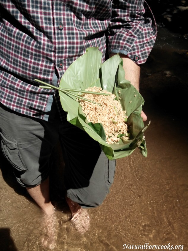 trekking_chiang_dao_jungle