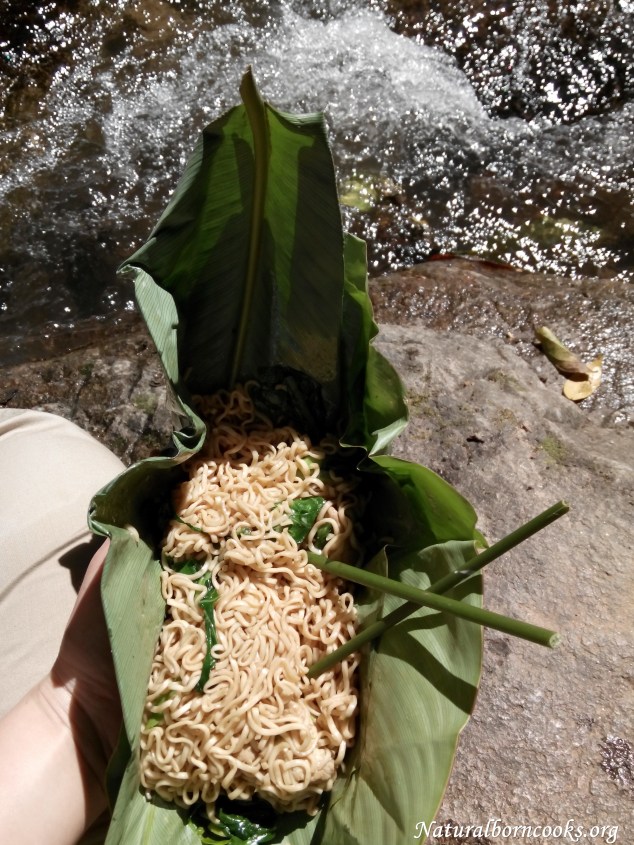 trekking_chiang_dao_jungle