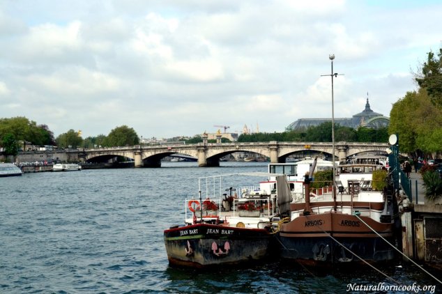 bateaux_paris