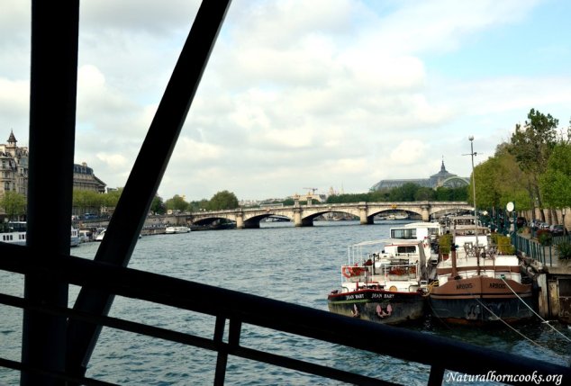 bateaux_paris_pont