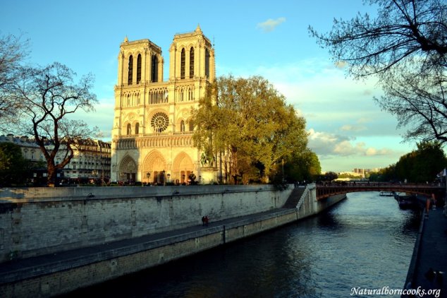 Notre_dame_paris