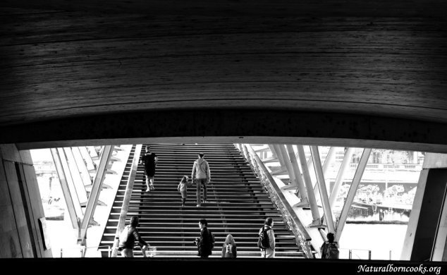 Pont_paris_escalier