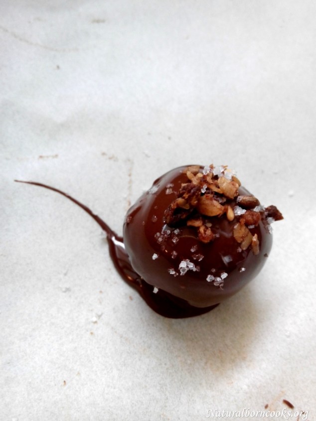 vegan_praline_sugarfree